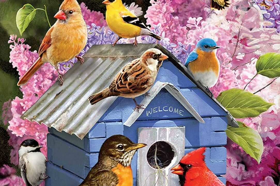 Spring Birdhouse - 1000 Pieces